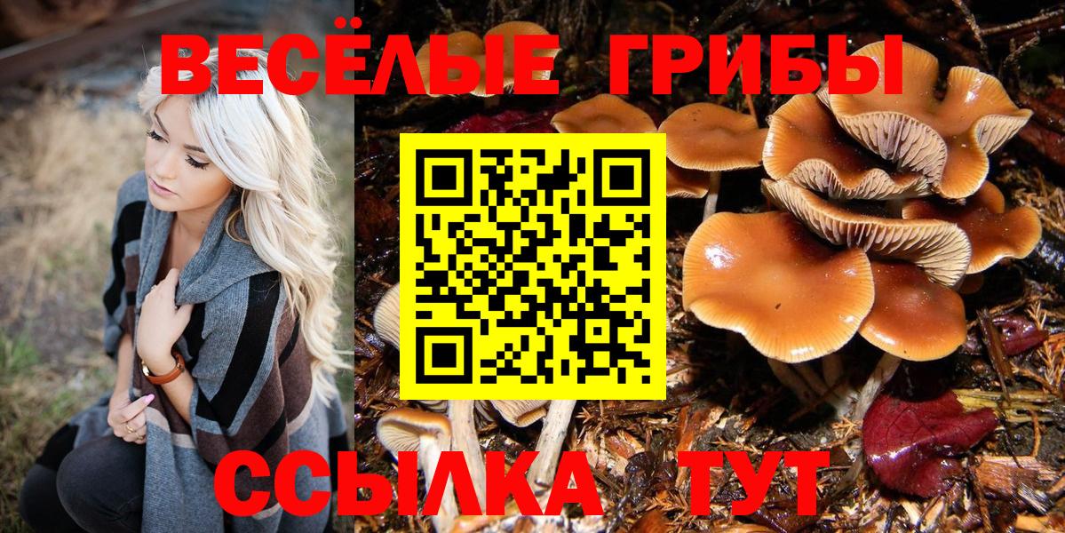 Галлюциногенные грибы GOLDEN TEACHER Барабинск